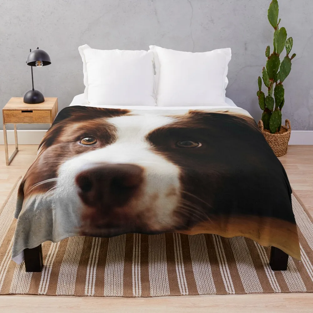 

Border Collie Dog Throw Blanket Decorative Sofas Baby Blankets