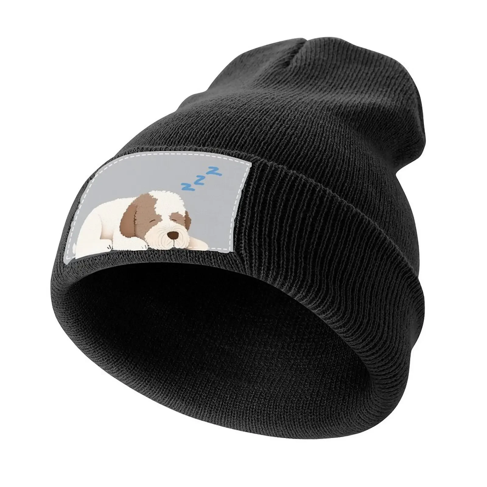 

Sleeping Lagotto Romagnolo Knitted Cap Icon New In The Hat Baseball Men Women's