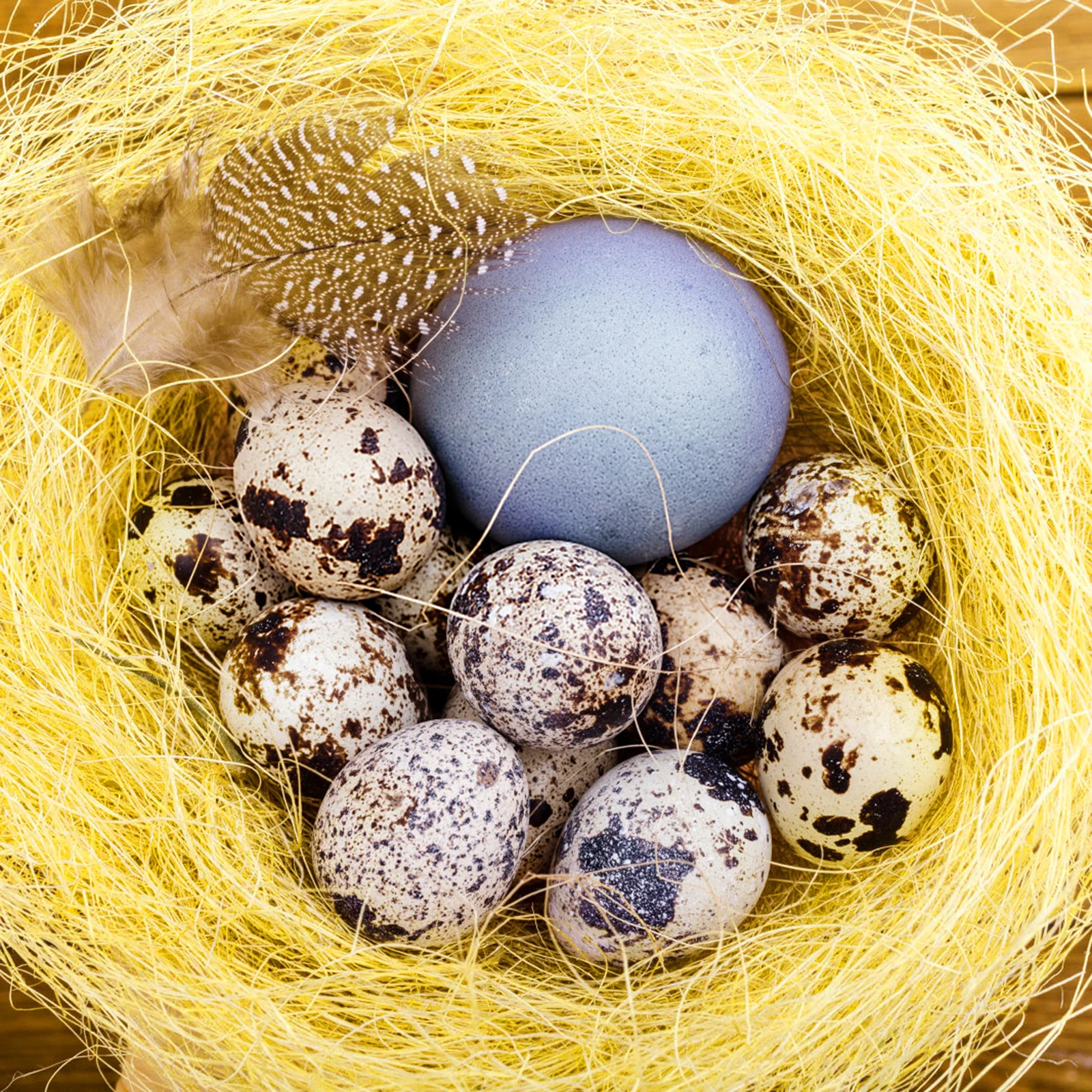 

6Pcs Natural Raffia Silk Bird Nest Padding Material for Small Birds DIY Easter Decoration Gift Box Filling Natural Raffia Silk