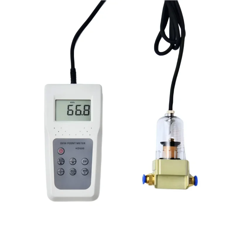 HD600 High Definition Dew Point Meter Industrial and Laboratory Usage Moisture Meter