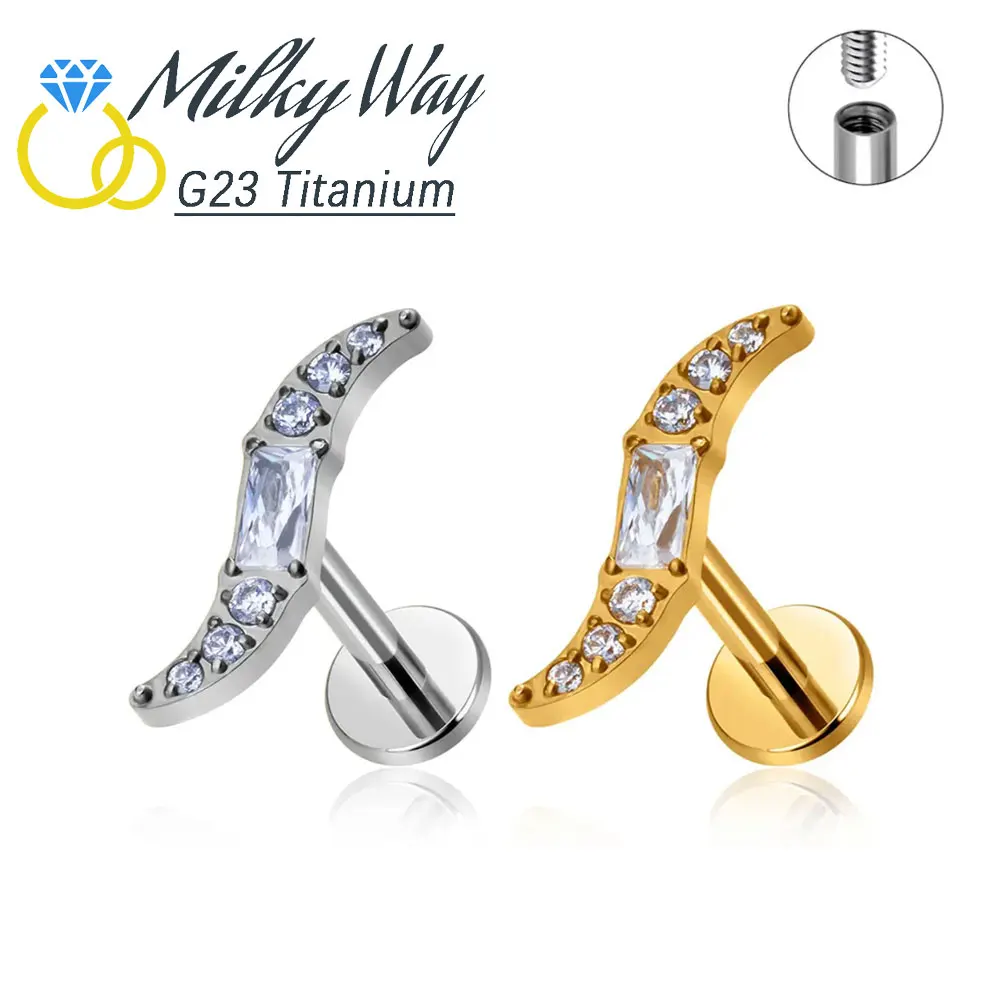 Fashion Nose Stud G23 Titanium Earrings Salix Leaf Labret Lip Rings Sexy Ear Cartilage Helix Piercing Jewelry Goth Accessories