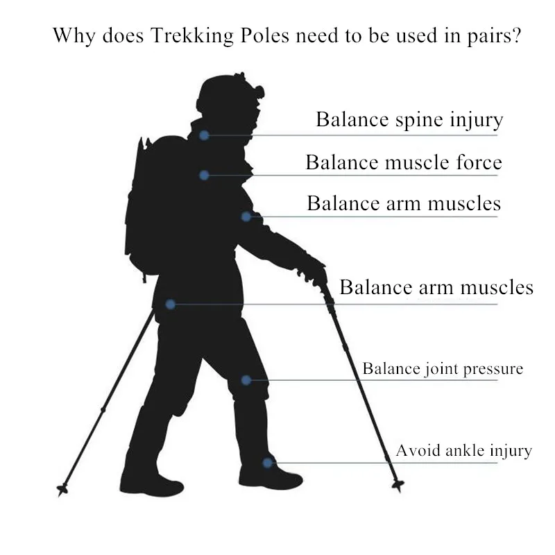 Ultralight Trekking Poles 6