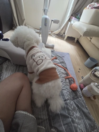 구매후기