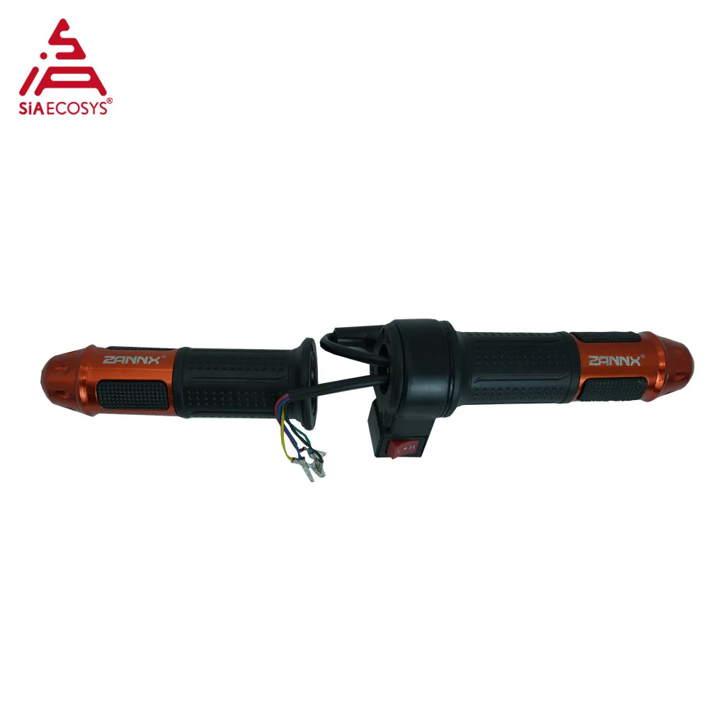 Siaecosys Elektrikli Scooter Gaz Kolu - usage example