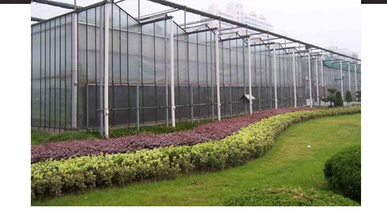 Szeroka oferta paneli PC do szklarni o niskim kosztie, szklarnie do uprawy ziół, szklarnie do pomidorów ze stalową konstrukcją i systemem hydroponicznym na rok 2025.