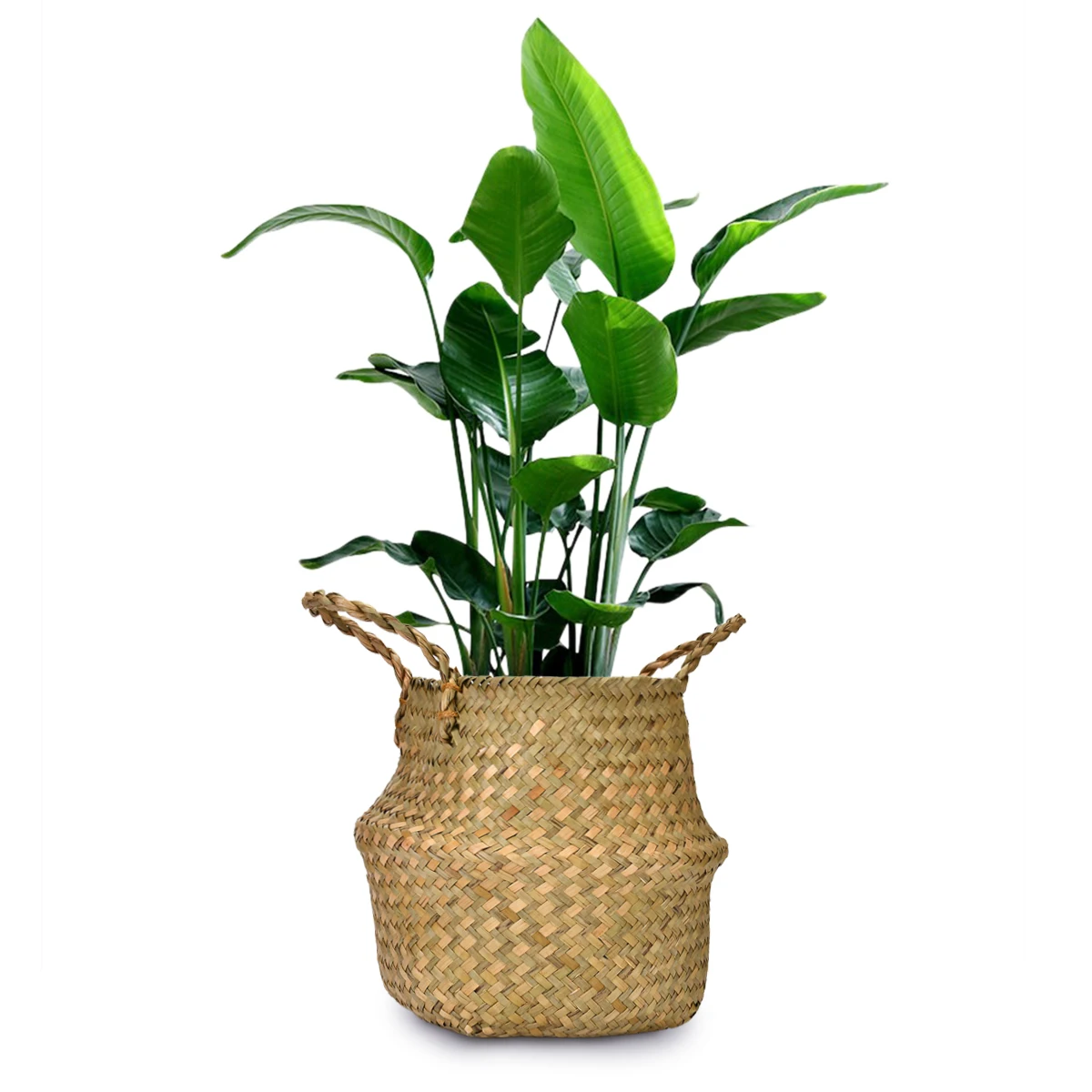 Seagrass Storage Basket Folding Flower Pot Planter Plant Pot Straw Wicker Basket Rattan Laundry Basket Garden Decorative