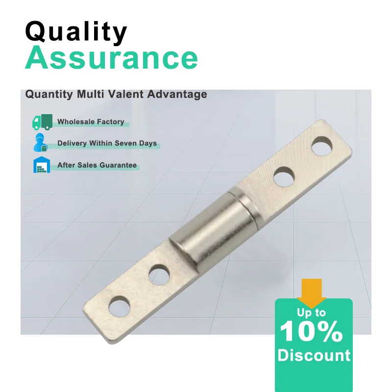 Long Strip Pivot Hinge Suitable For Electronic Products Medical Equipment Brackets Small Household Appliances