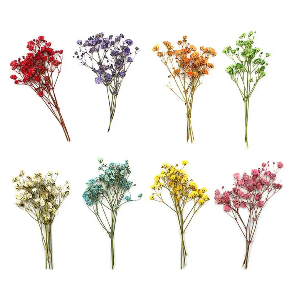 12 szt. Mini suszony babybreath bukiety kwiatowe trwały realistyczny kolorowy suszony kwiat Gypsophila ślubna dekoracja domu