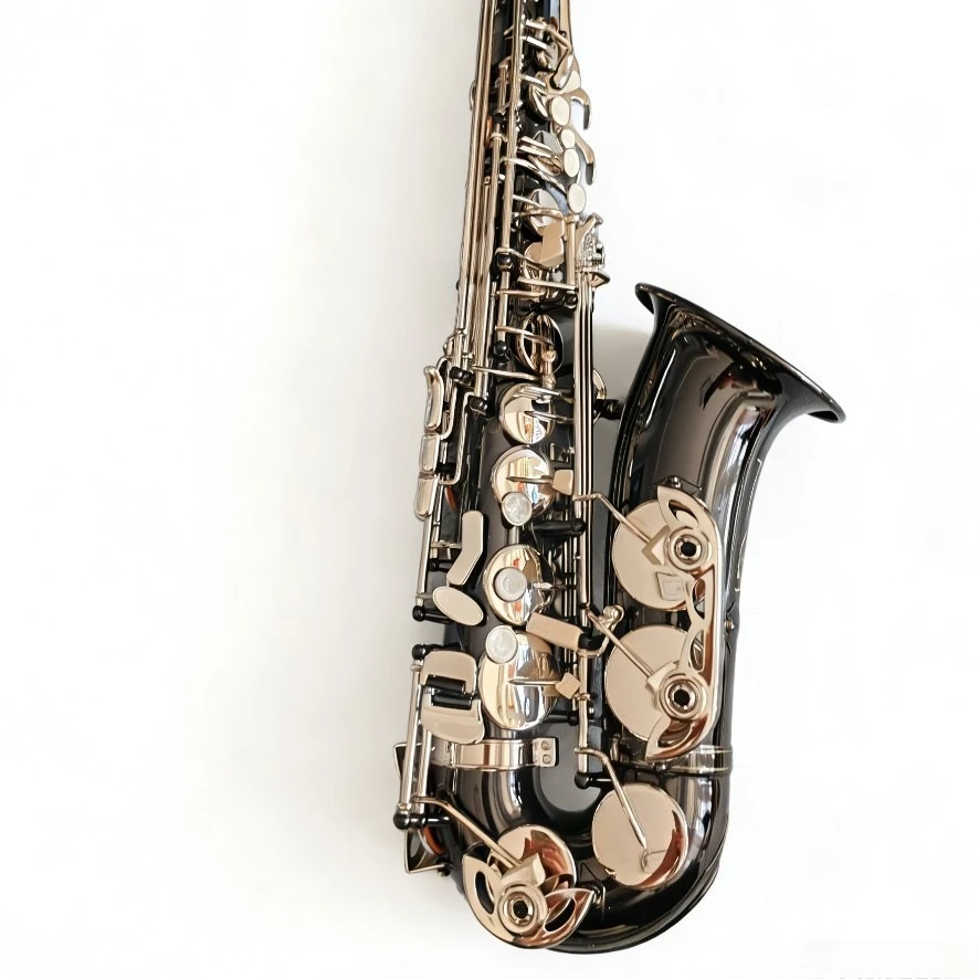 Alto Saxophone E Flat, 2 Tone Beginner Instrument, Exam Grade Performance, Durable Brass Body, Easy to Play