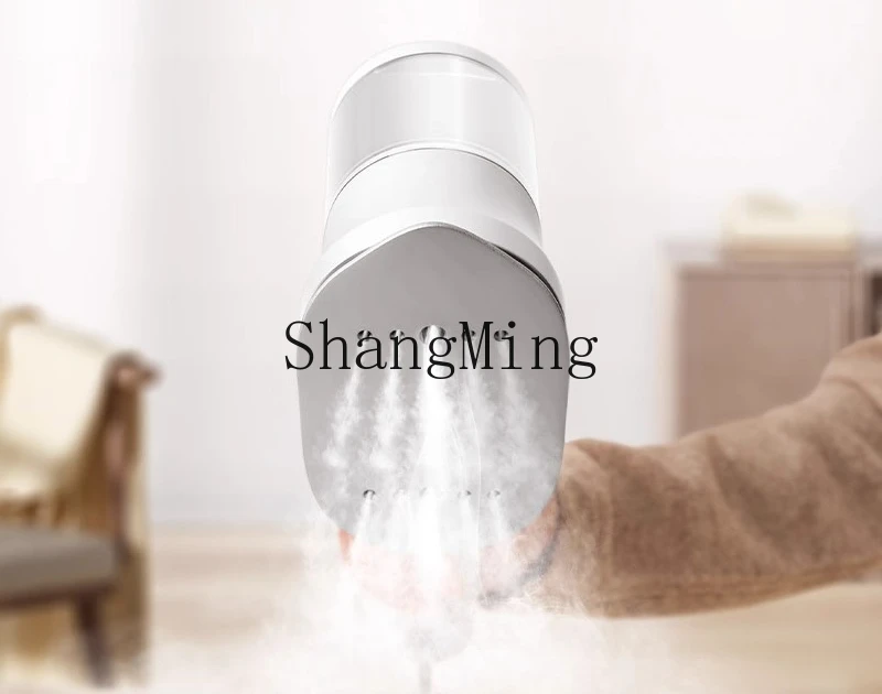 Ручная паровая гладильная машина ZYY, бытовая портативная паровая гладильная машина для стерилизации и дезинфекции