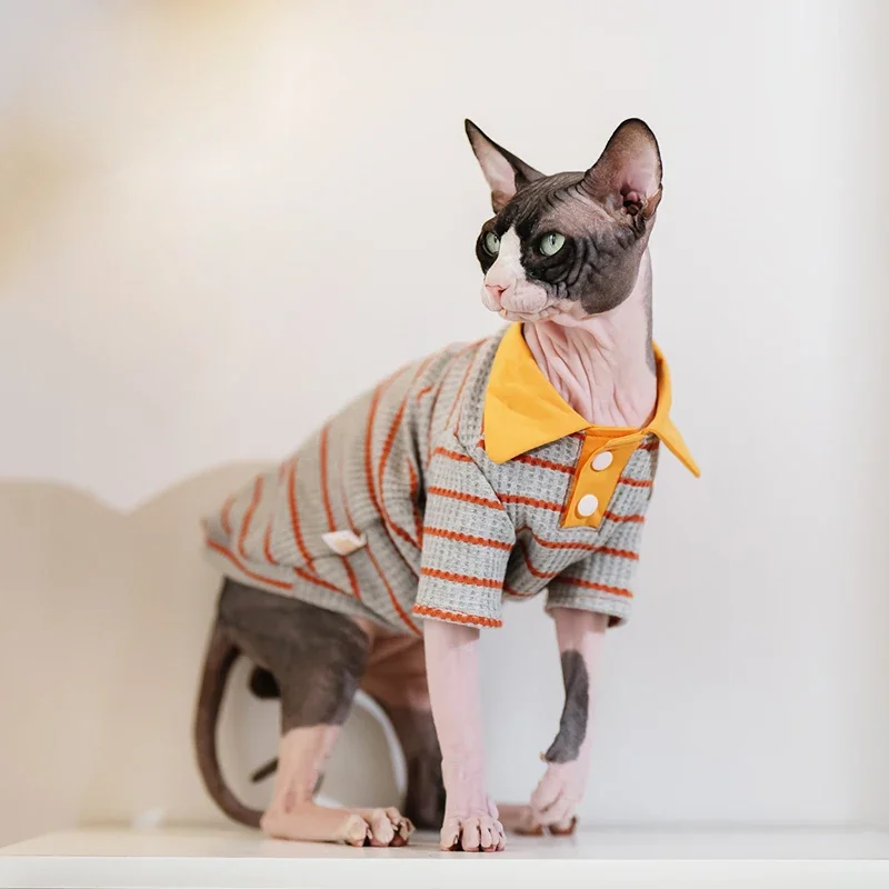 Sphynx Cat Clothes Striped T-shirt Hoodies For Sphinx Hairless Cat Devon Rex Costumes Autumn Winter Clothing For Cats Dogs