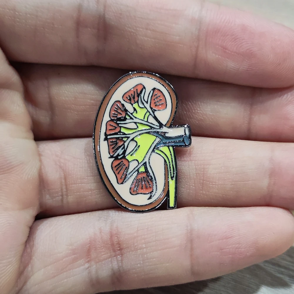 Hanreshe Kidney Anatomy Brooch Enamel Lapel Pins Medical Jewelry Badge Biology Gift for Doctor Nurse Medical Student