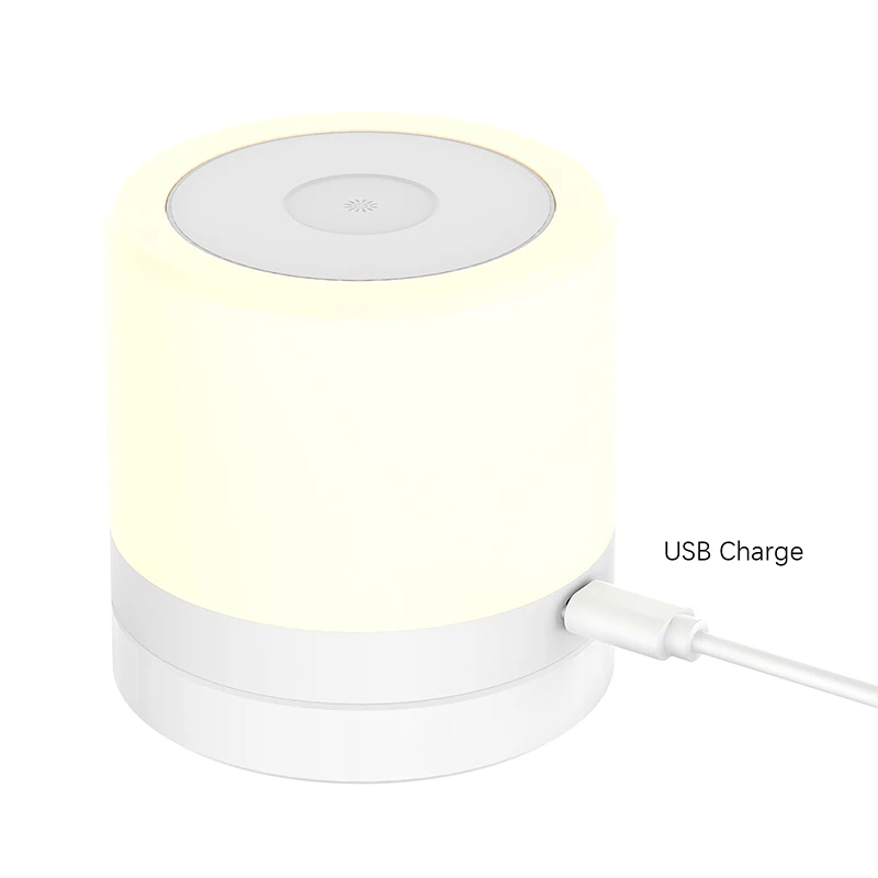 Night Light Touch Lamp for Bedrooms Living Room Portable Table Bedside Lamps with Rechargeable Internal Battery Dimmable RGB