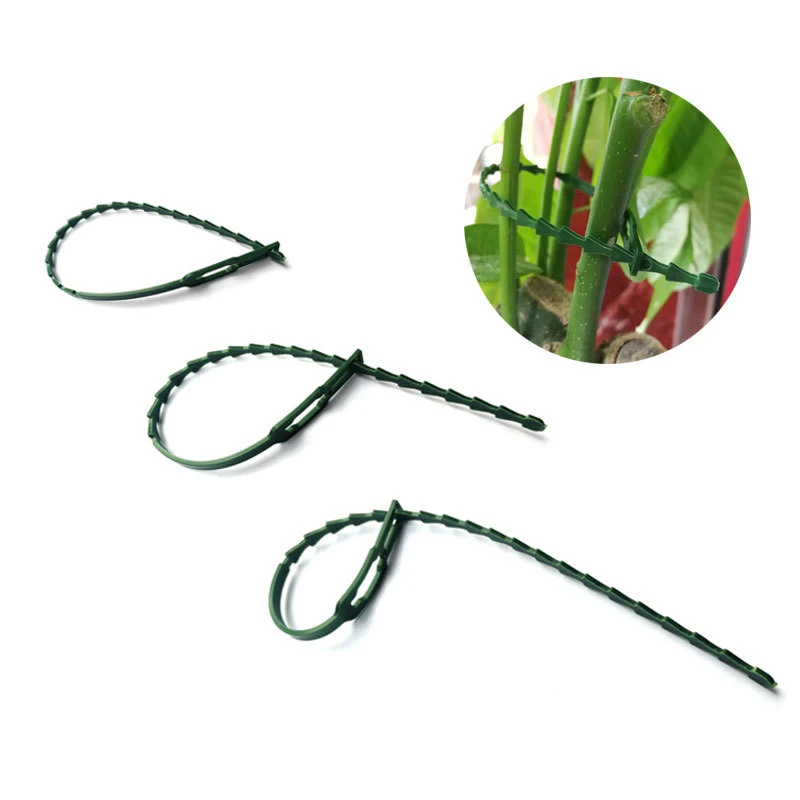 30/50 Pcs fascette per cavi da giardino riutilizzabili supporto per piante arbusti chiusura per alberi chiusura in Nylon regolabile in plastica PE fascette per cavi strumenti
