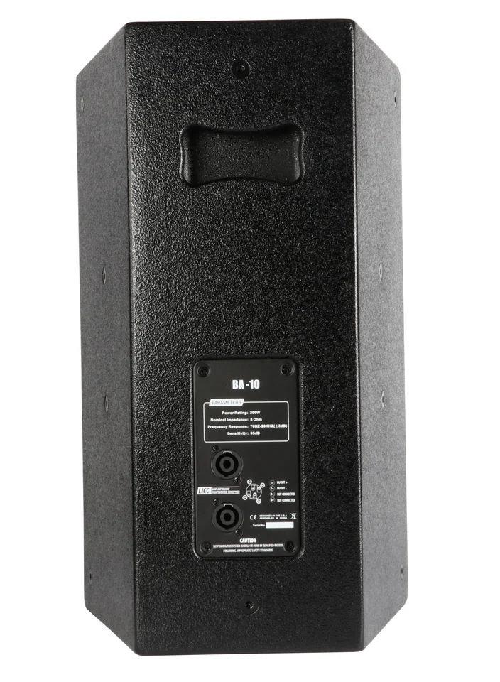 Ba10 Single 10 Inch Speaker, Club Audio Loudspeaker for Venue Use