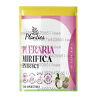 "pueraria mirifica"