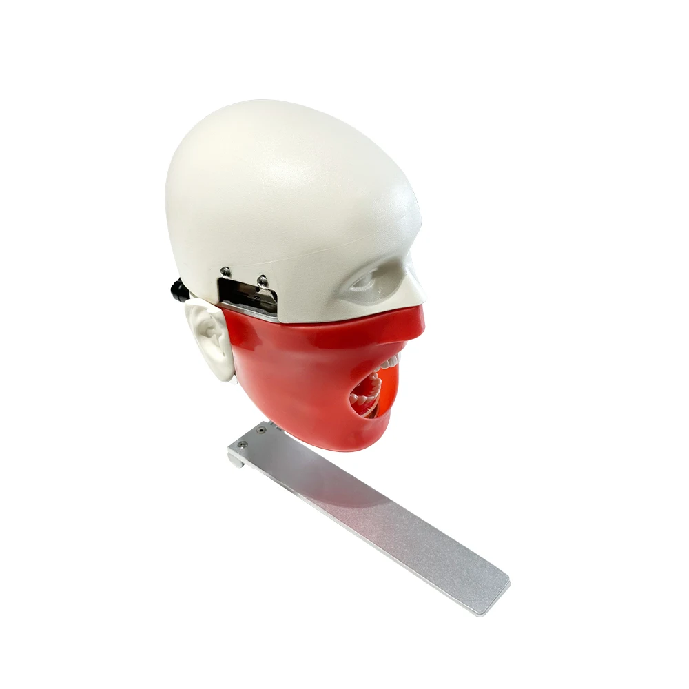 Dental Training Simulator with Adjustable Dental Phantom Head Model Dental Teaching Practice Exercise Model