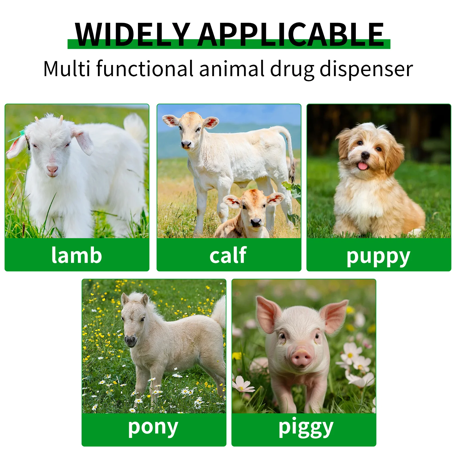 50ml PVC Steel Syringe with Feeding Tube Needle Mice/Parrots/Birds/Poultry/ Elbow Gavage Needles Small Animal Pet Feeding Tools