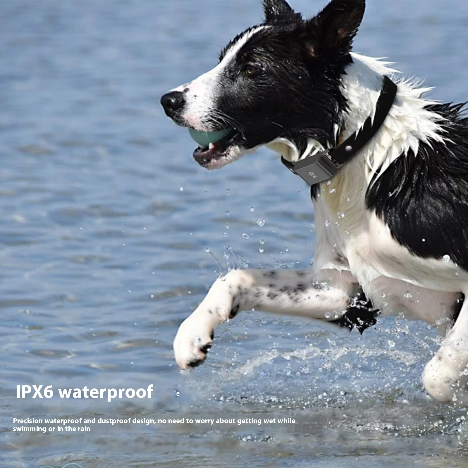 Paketkombination des neuen 4G Cat Anti-Lost Digital Fence Historical Traject Waterproof IP67 Global GPS Pet Tracker