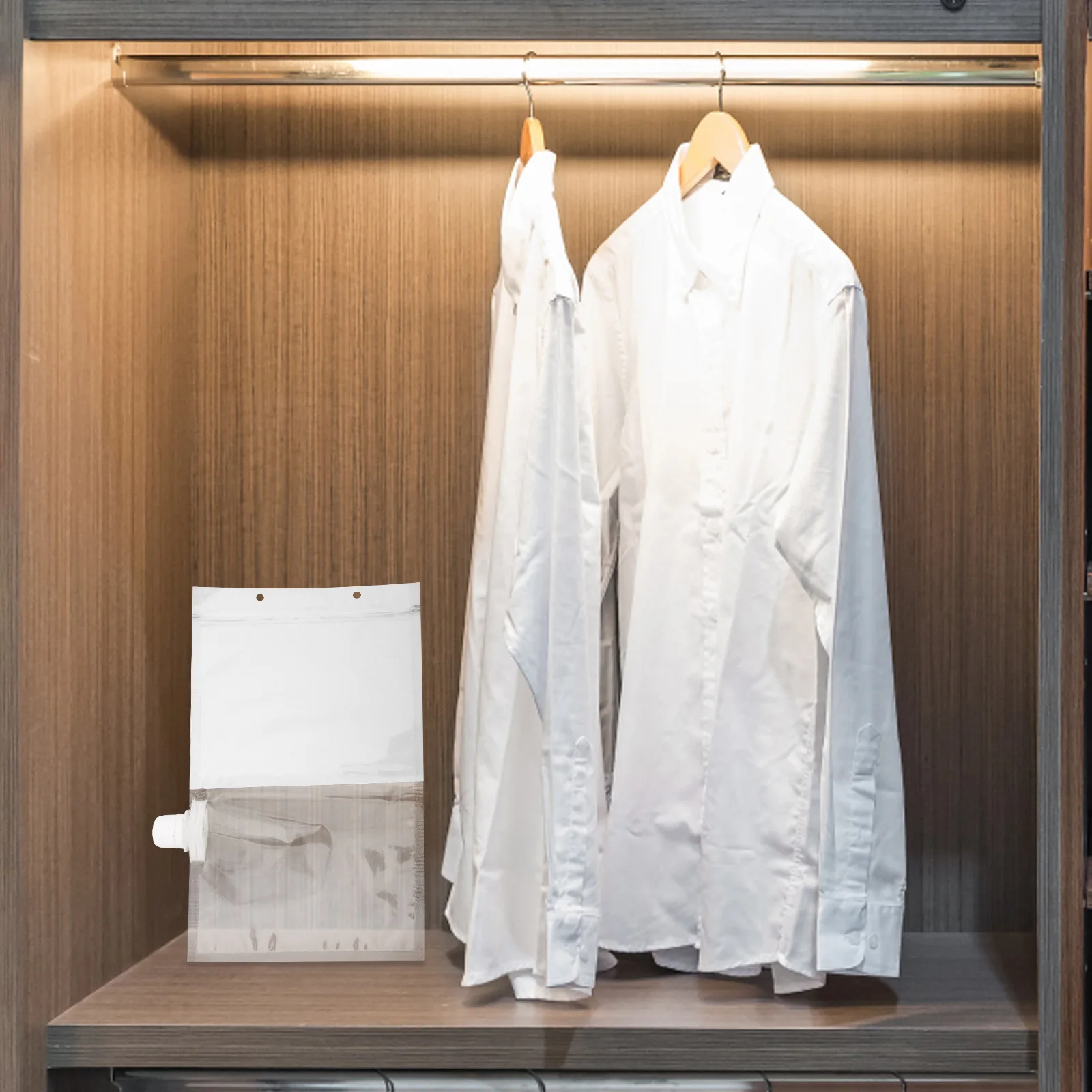 

10pcs Hanging Dehumidification Bags Reusable Closet Absorber Empty Clear Home Car Boat Dormitory Moisture Packs Plastic