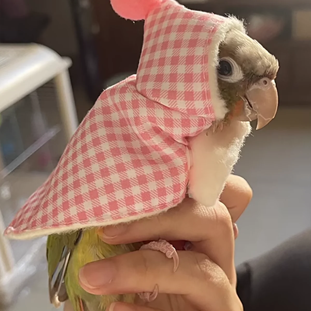 E9 Cute bird clothes, bird cape, thick bird jacket, bird diaper, parrot dress, tiger pattern peony suspender diaper flight suit view 4