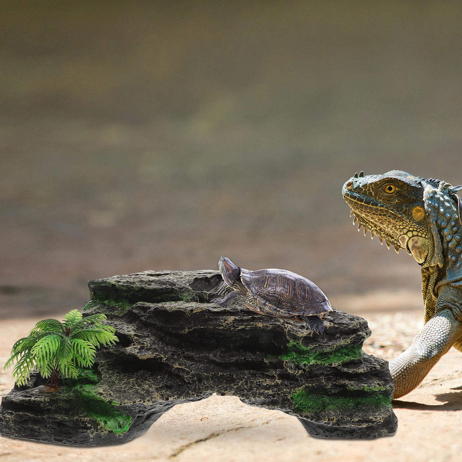 

Aquarium Turtle Platform Basking Rock for Water Turtles Lizards Frogs Multi Functional Climbing Decoration Exercise Health