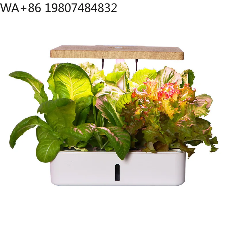 Sturdy  Seedling Soilless Tray Intelligent Timing Full Spectrum Light Hydroponic Cultivation Gear For Indoor Vegetable Mass