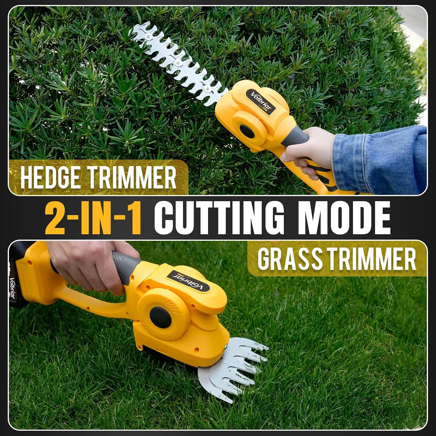 2-in-1 Cordless Pole Hedge Trimmer & Grass Shear, 14FT Reach | 20V Power with 2x4Ah Batteries, 9