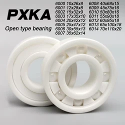 Zirconia Ceramic Bearing 6000 6001 6002 6003 6004 6005 6006 6007 6008 6009 6010 6011 6012 6013 6014 ZrO2 Bearing