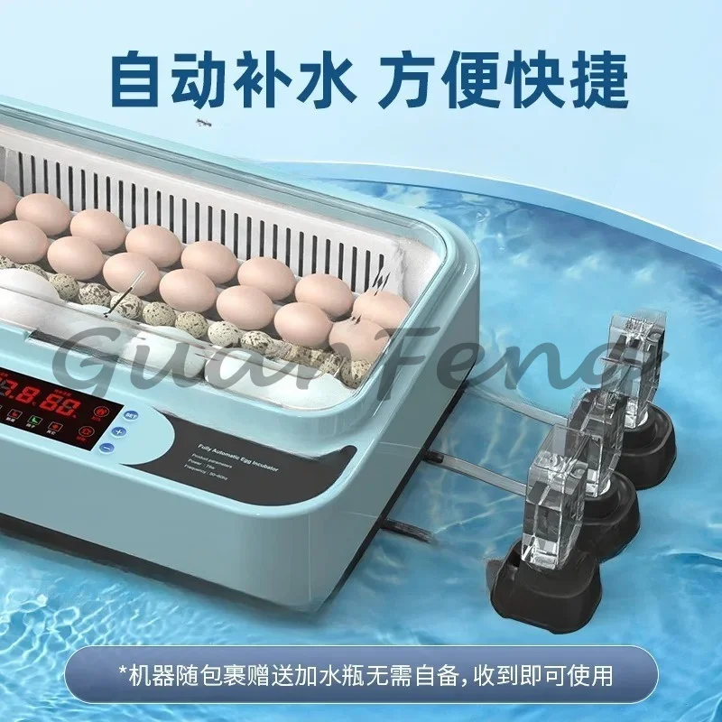 Small family egg incubator, fully automated incubator