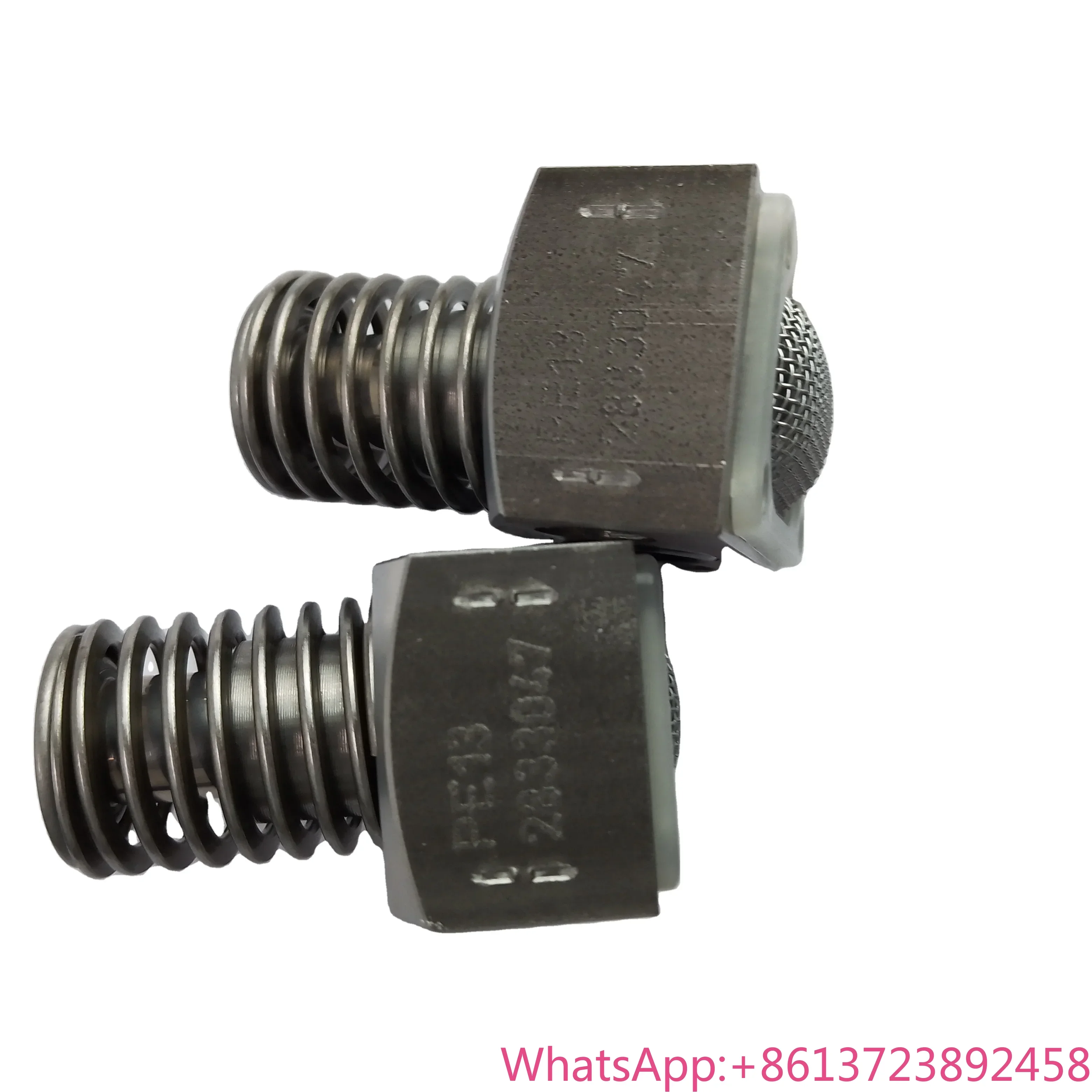 

Pump element PE13 for radial piston pumps