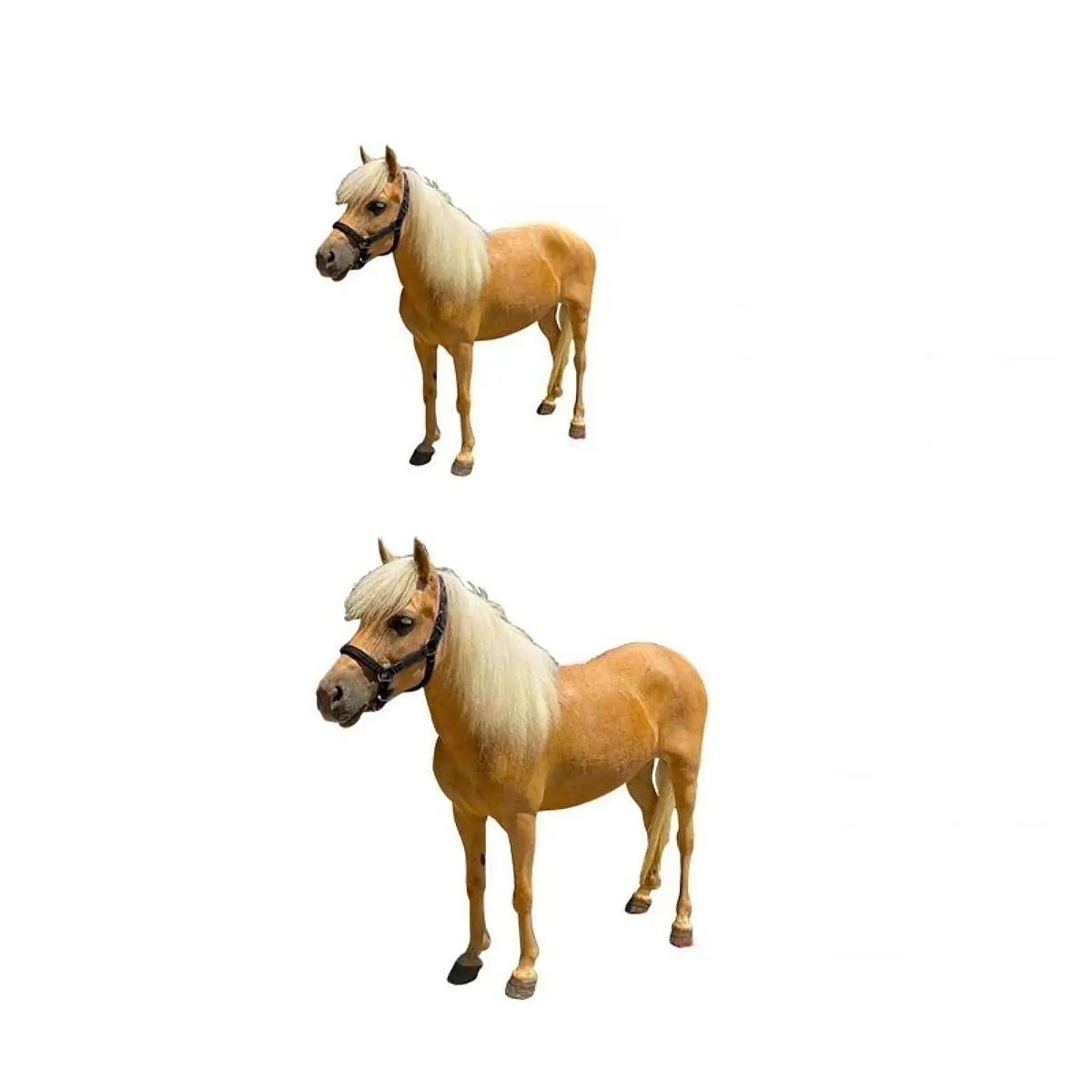 4ピース馬用腱ブーツ脚用ギアpuハードシェルポータブル保護ギア脚巻きセット競技用馬術スポーツ用