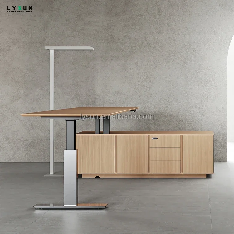 Dual Motor Electric Height Adjustable Executive Office Desk 2 Stage up Lift Sit Stand Feature Electric Standing Desk