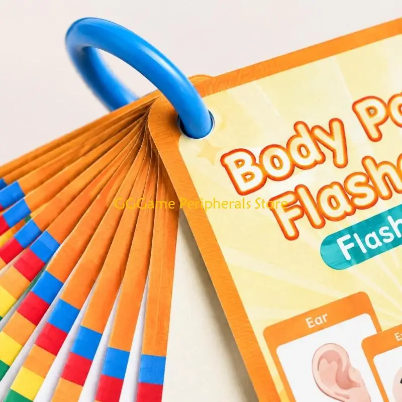 U55B Bilingual French Chinese Body Parts Flash Cards, 15 Double-Sided Cards with 28 Picture Word Terms for Prompting and Guided