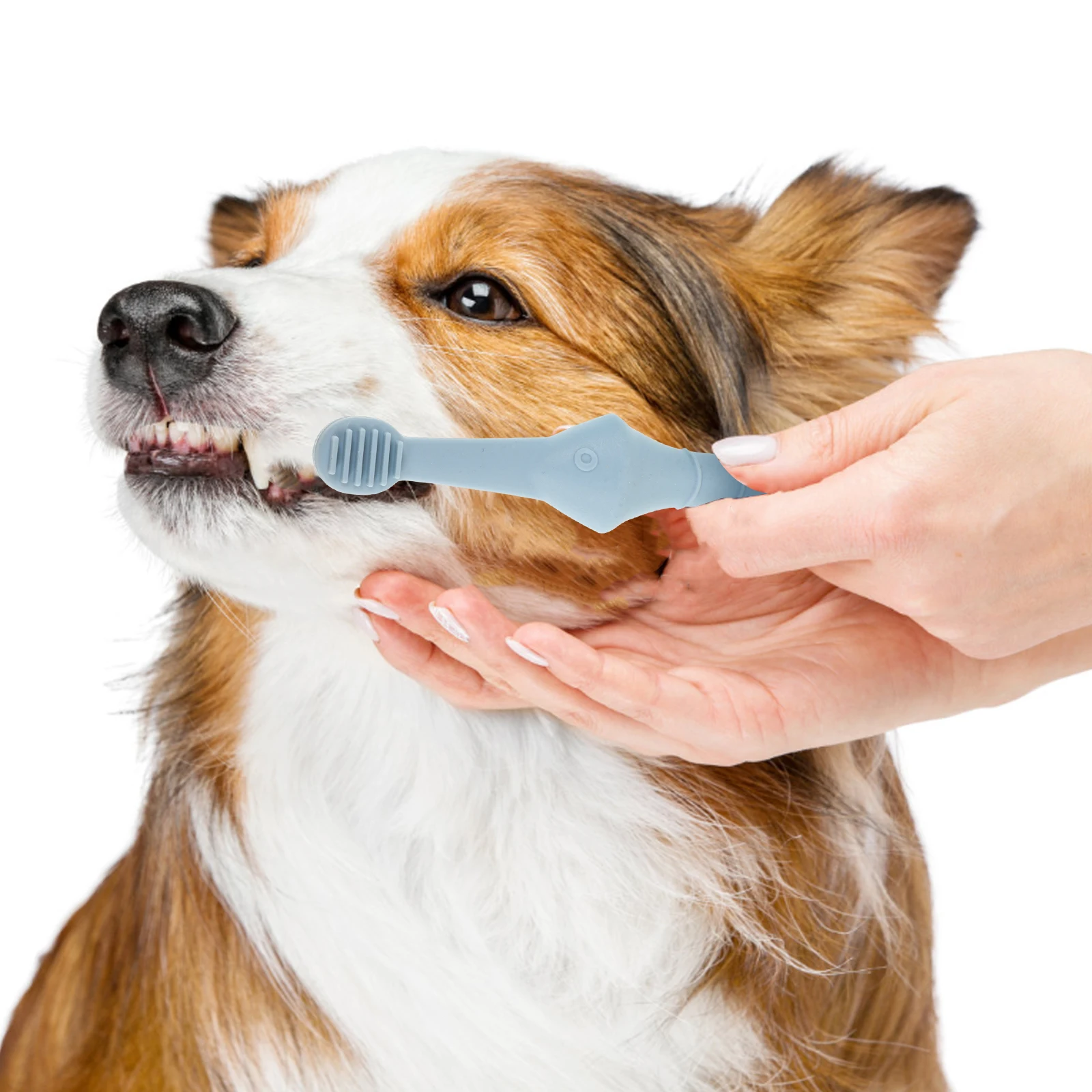 

2pcs Silicone Pet Toothbrush For Dogs Cats Oral Care Finger Brush Puppy Small Breed Dog Teeth Cleaning Tool Soft Dental Kit Pet