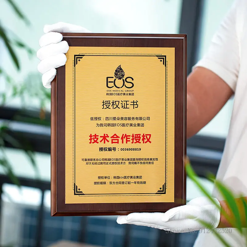 

Brown Wooden Trophy for Home Decor, Gold Foil Metal, Three-Dimensional Lace Honor Plaque, Creative and High-End