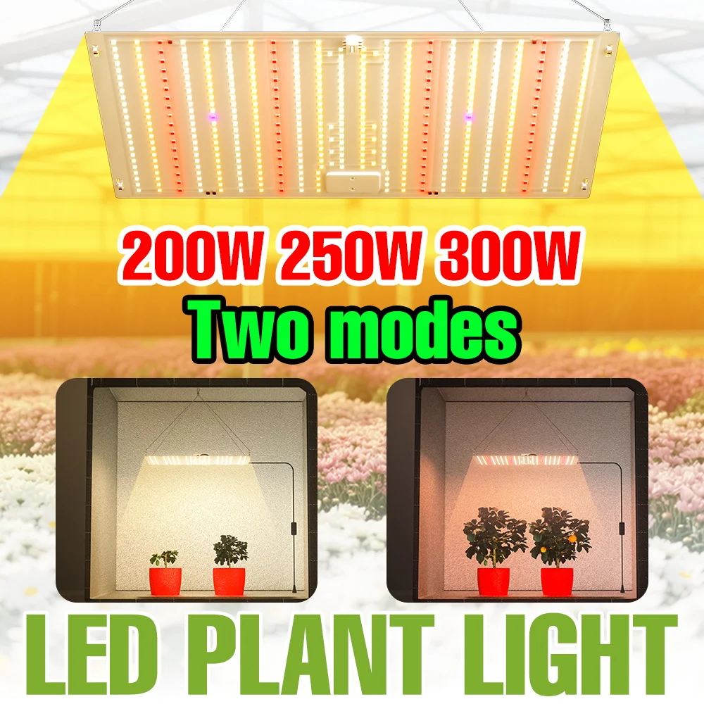 

300W Full Spectrum Quantum Board Plant Light LED Grow Lamp Greenhouse Tent Potted Flower Vegs Succulent Cultivation Lighting