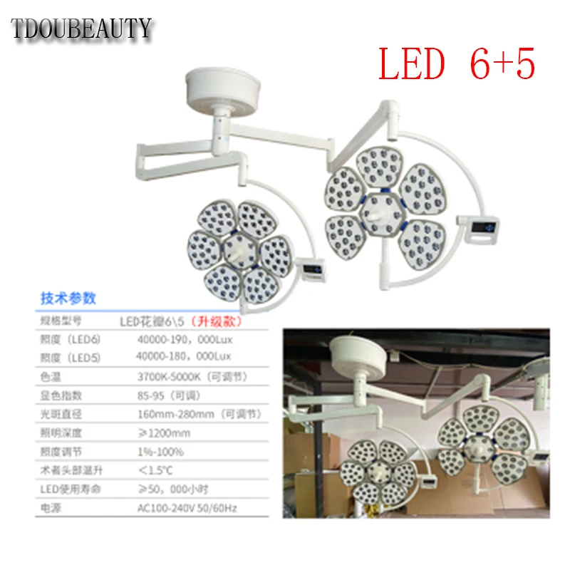 Shadowless Equipment Petal Type Double Head Ceiling Surgical Operating Light Dental Lamp For Outpatient Department Examination