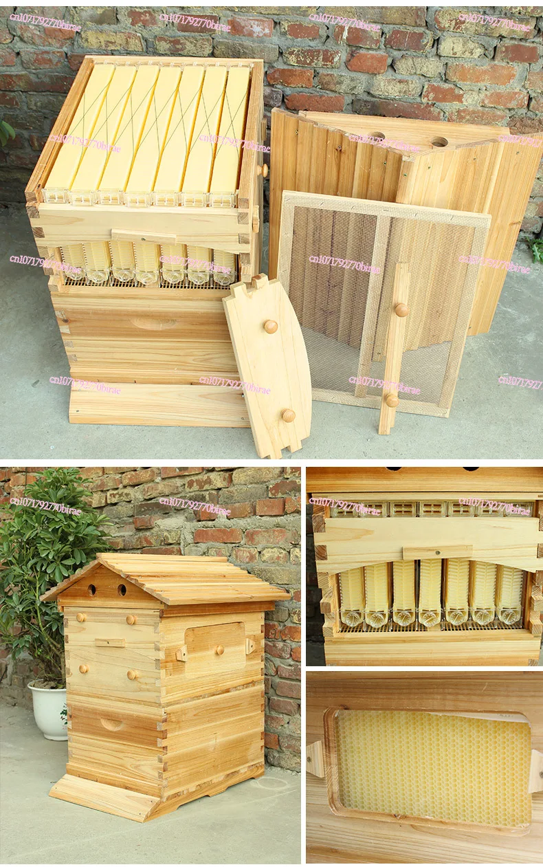 خلية نحل أوتوماتيكية مع 7 قطع إطارات خلية نحل بلاستيكية لتدفق العسل لمعدات تربية النحل