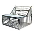 

Racing pigeons, carrier pigeons, stainless steel jumping cage training cage