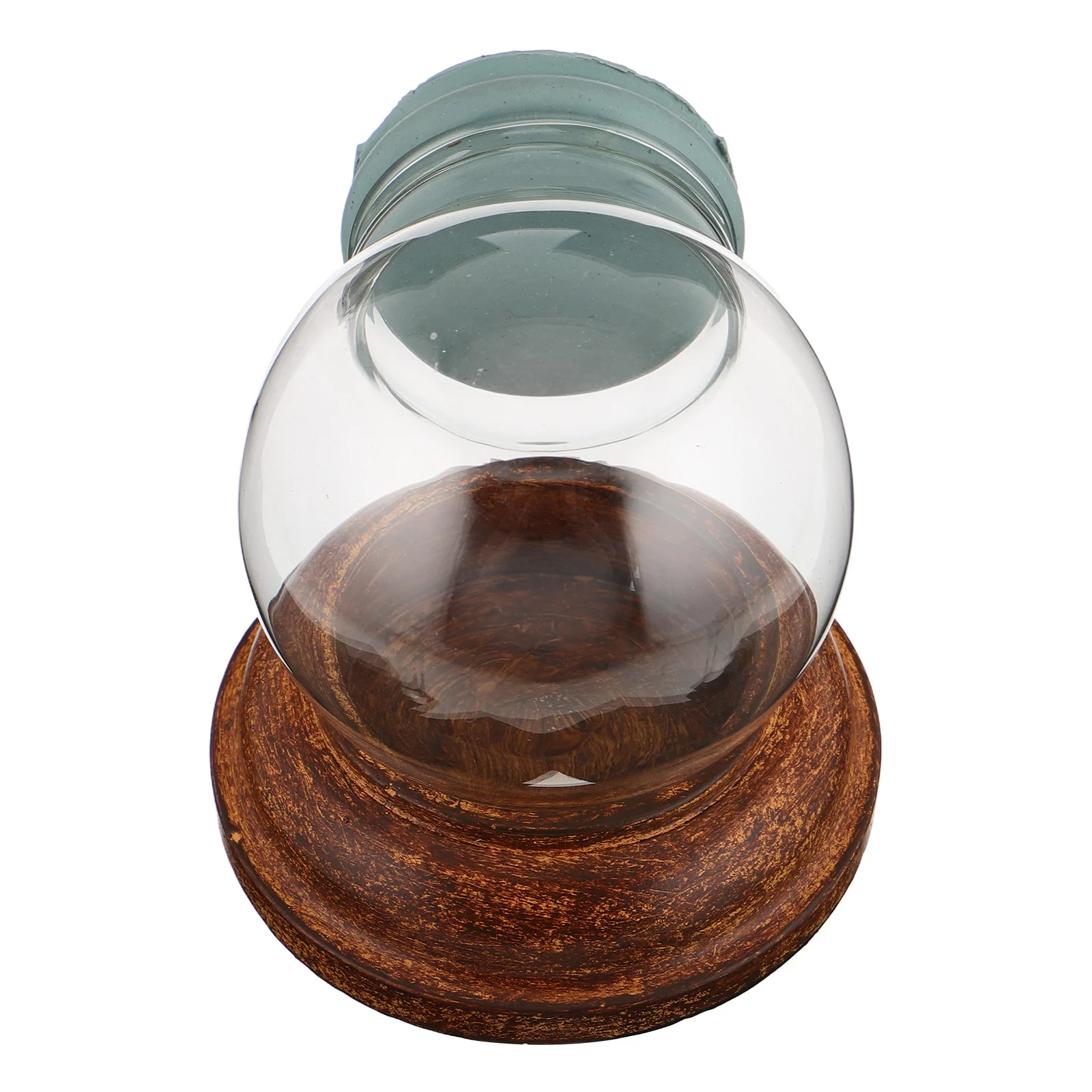 

DIY Snow Globe Kit Empty Glass Water Globe with Wooden Base Creative Craft for Adults Holiday Decorations Unique Home Art