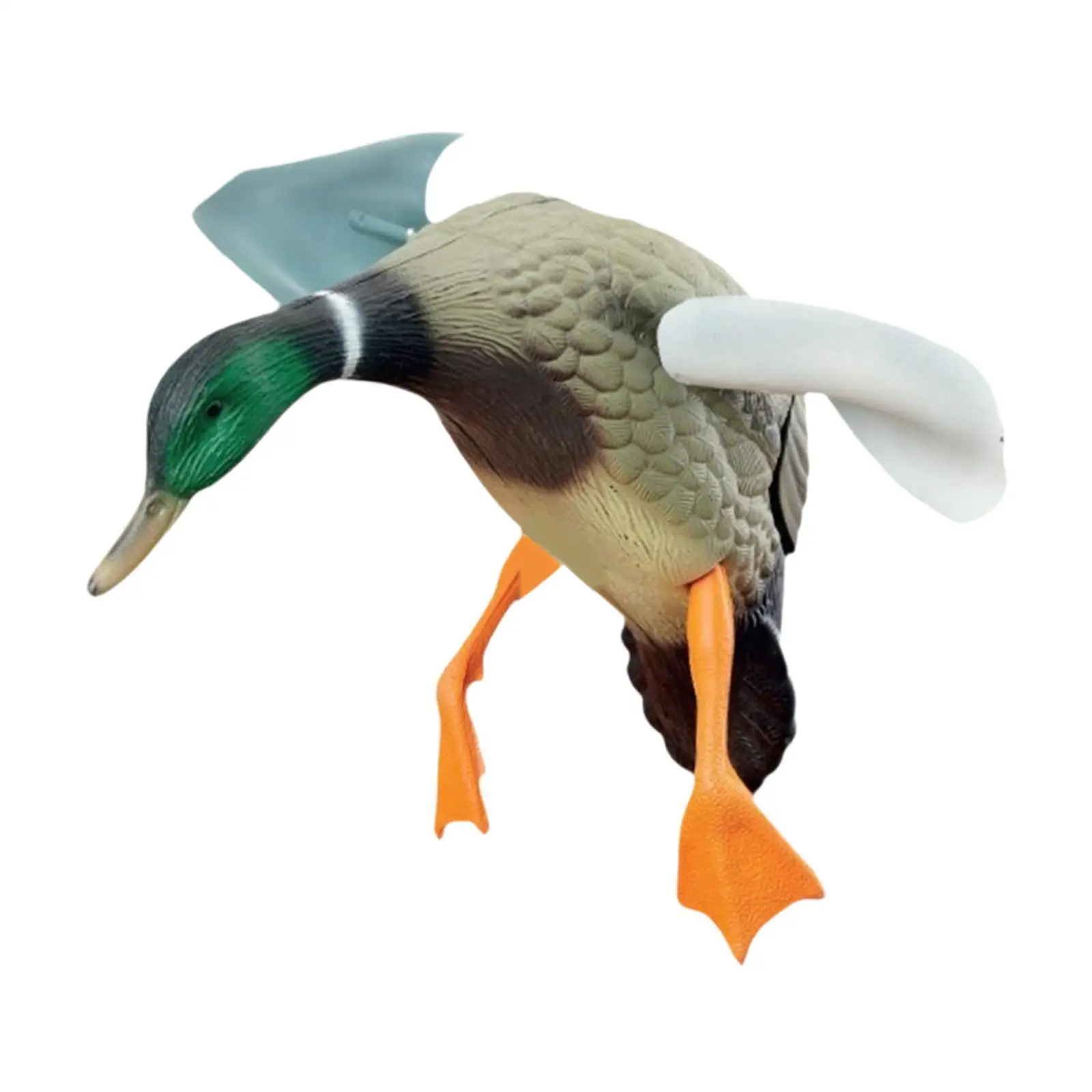

Mallard Ducks Models Motion Wind Rotation for Hunting Fly Ducks Mallard Decoy