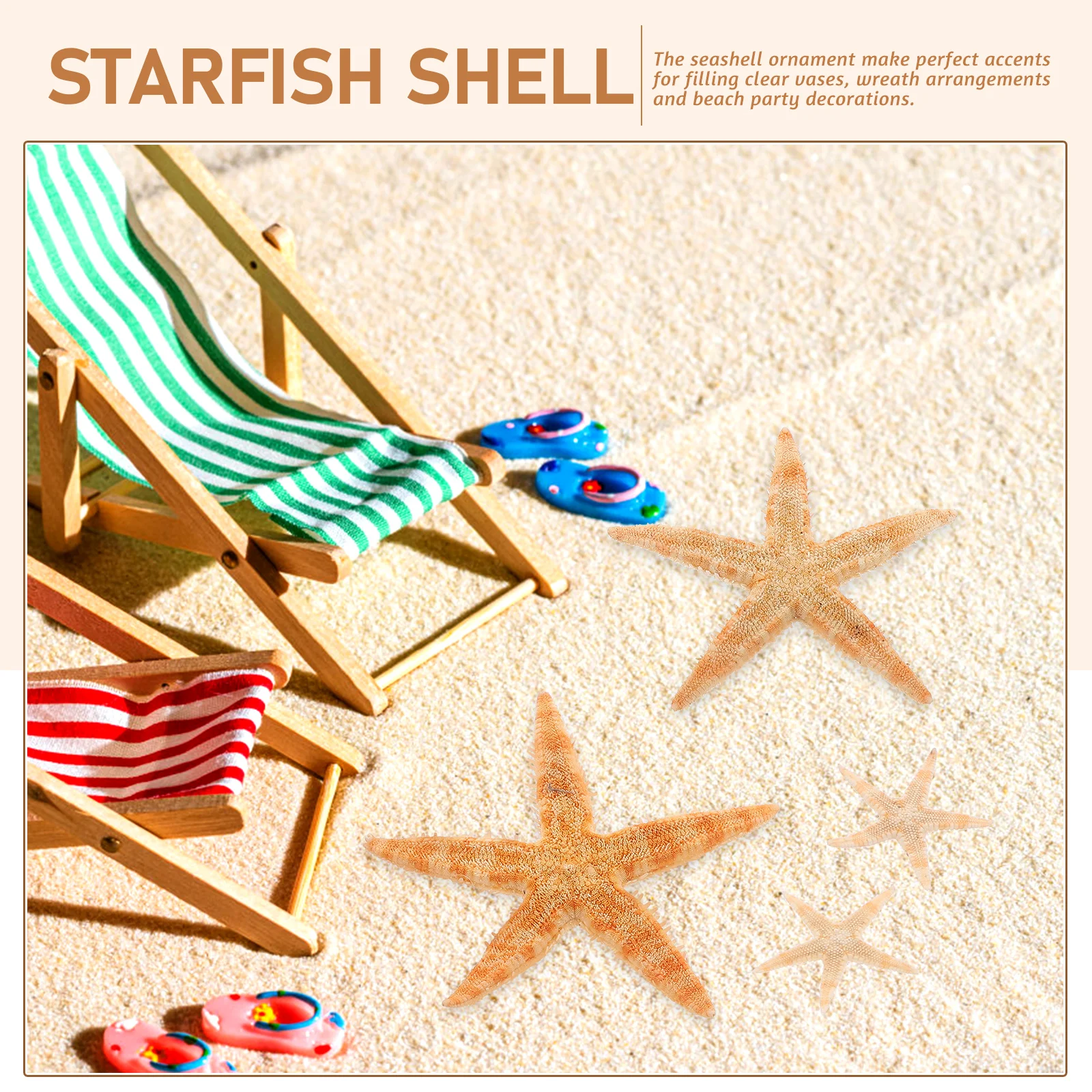 

100pcs Shells Home Decor Mini DIY Decorative Shell Decor Aquarium Tank Seaside L nament Creative Shell Craft