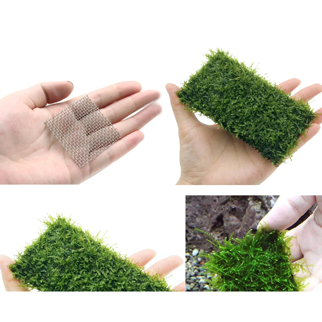 DIY Aquarium Moss Tree Sponge Stainless Steel Net-Attach Mesh Pad Fish Tank Decorations Driftwood Plants Aquarium Accessories