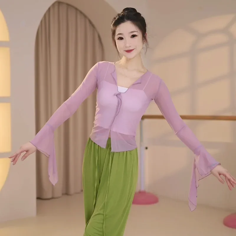 Dance clothes adult female classical dance body rhyme gauze clothes elegant practice clothes art test hanfu folk dance  top