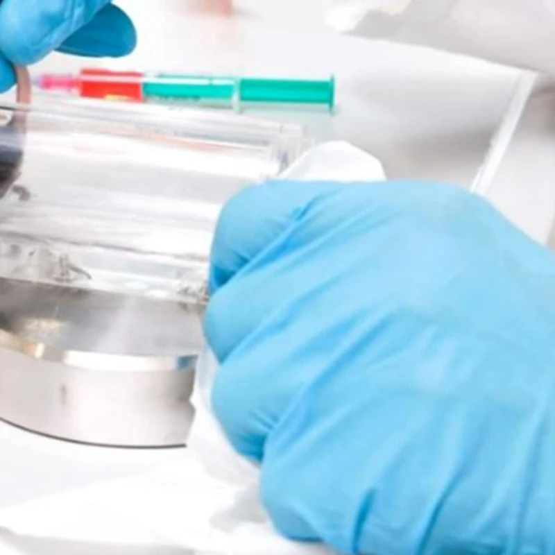 Vendita calda supporto per Mouse supporto per Mouse supporto per morsetto supporto per attrezzatura da laboratorio per gabbia per topi per iniezione addominale Plexigla