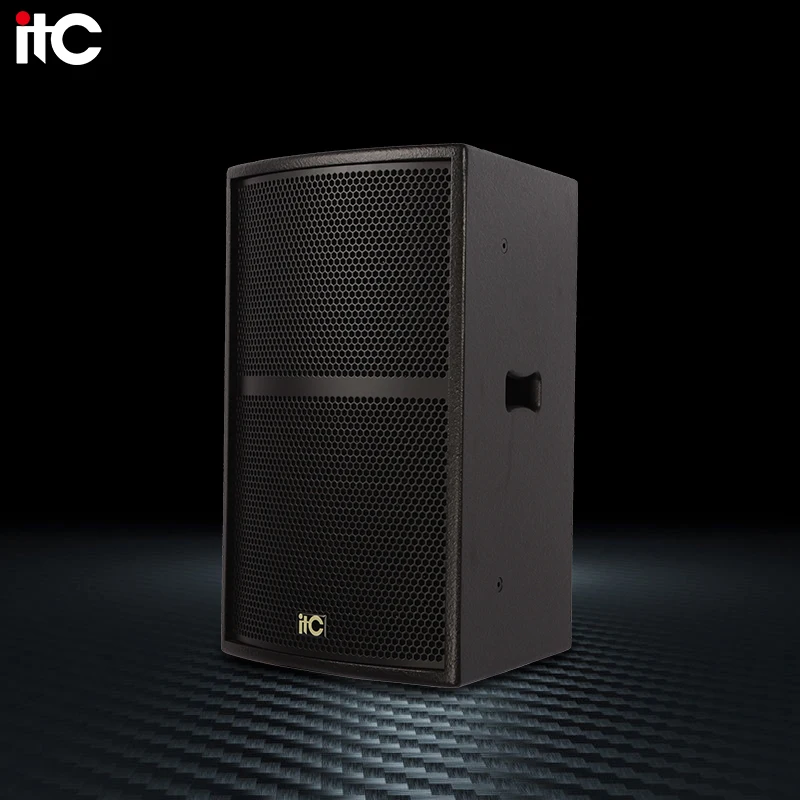 ZJZ 13 Inch 250W 8Ω Conference Audio Speakers Professional Sounds Set Speakers Professional