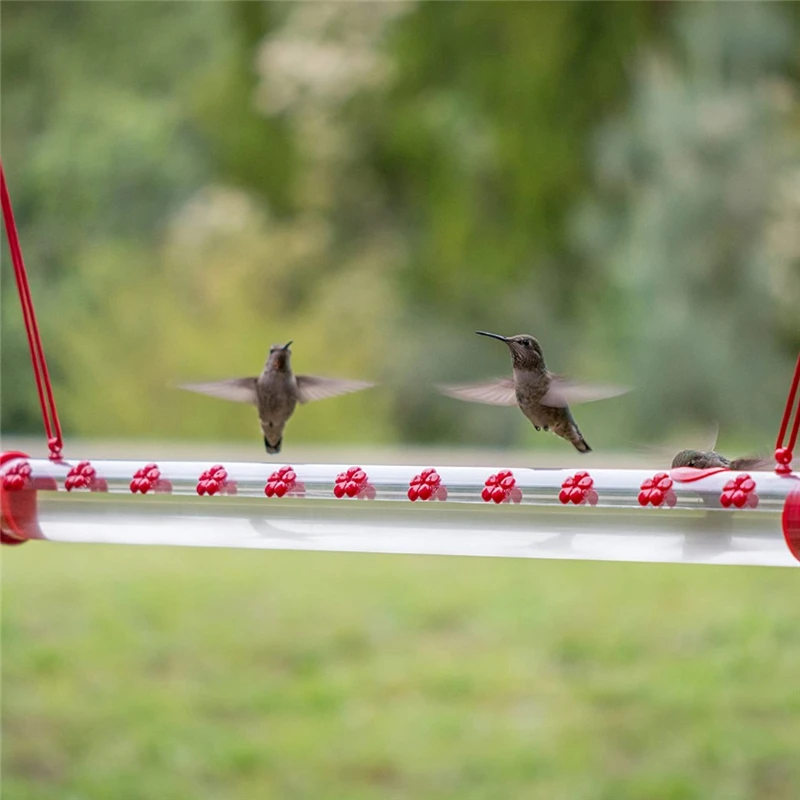 Traditionelle Vogelfutterstellen: Alles, was Sie über tradi pfeife wissen müssen