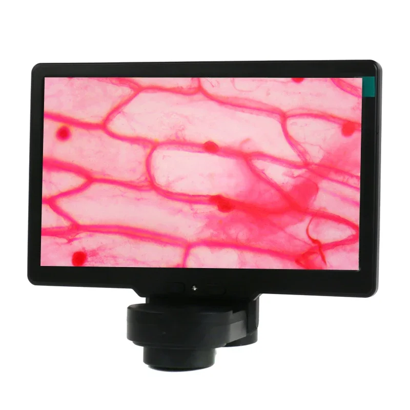 7 inch LCD Monitor Video Output Camera Graphic Display For Metallographic Microscope Biological Microscope Trinocular Microscope