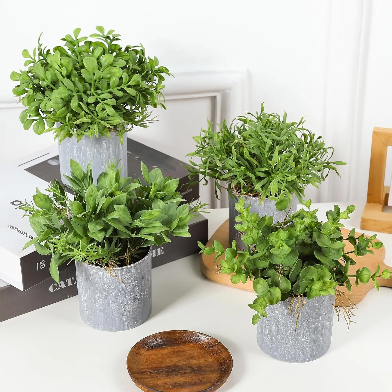 Rośliny doniczkowe 2